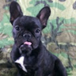 Meet your Posher, Liz